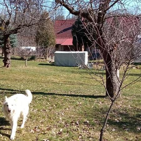 Farma Pod Wulkanem Leśna Exterior foto