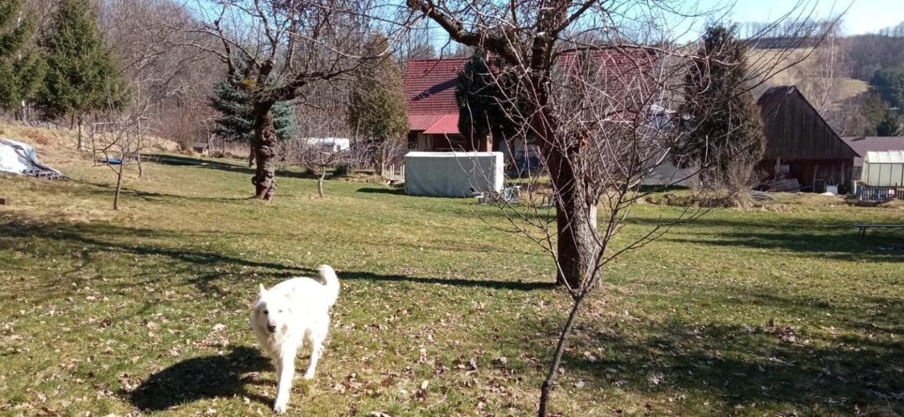 Farma Pod Wulkanem Leśna Exterior foto